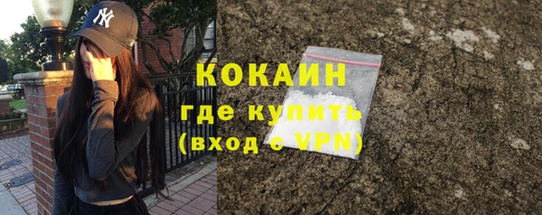 молекула духа Магадан