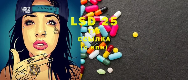 молекула духа Магадан