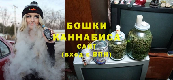 гидра Магас