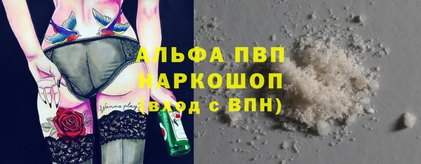 молекула духа Магадан