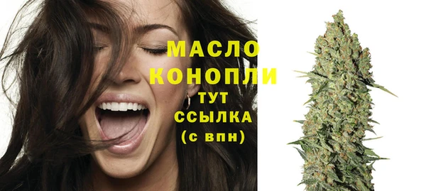 гидра Магас