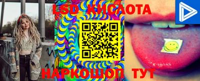 apvp Краснознаменск