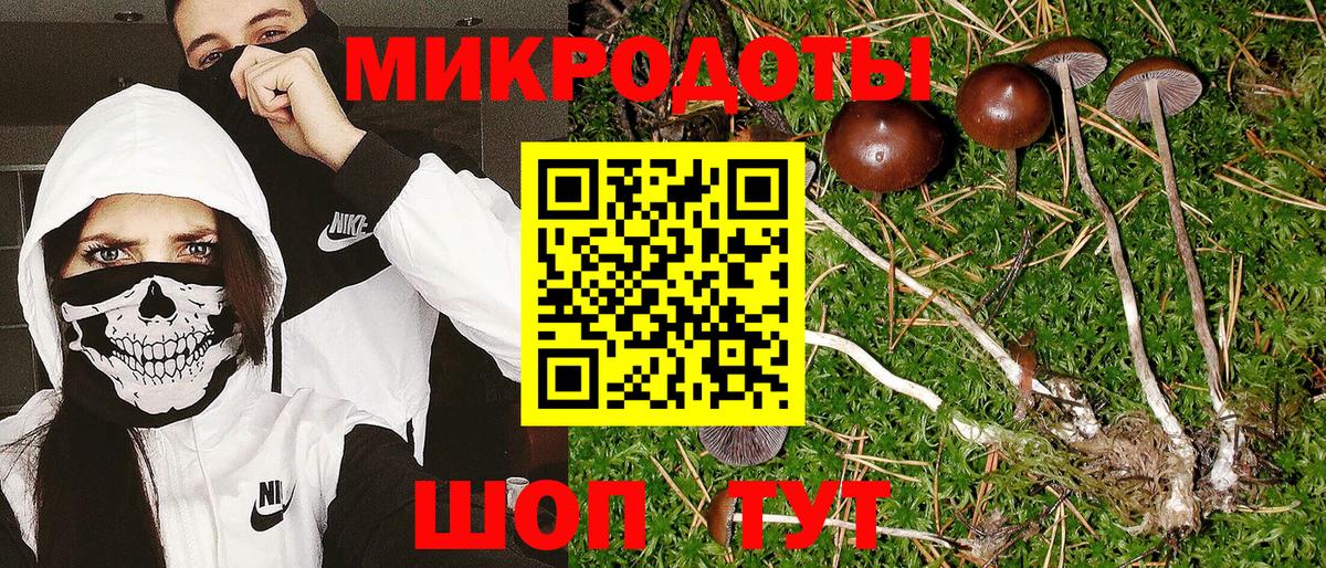 Наро-Фоминск  Галлюциногенные грибы Cubensis  Вход с VPN 