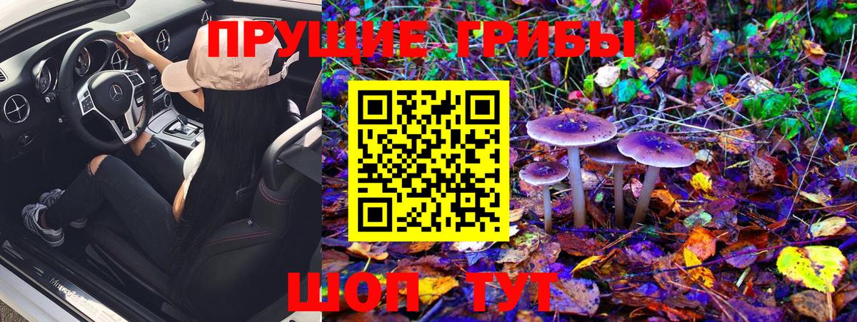 как найти закладки  Псилоцибиновые грибы MAGIC MUSHROOMS  Наро-Фоминск  Галлюциногенные грибы Magic Shrooms 