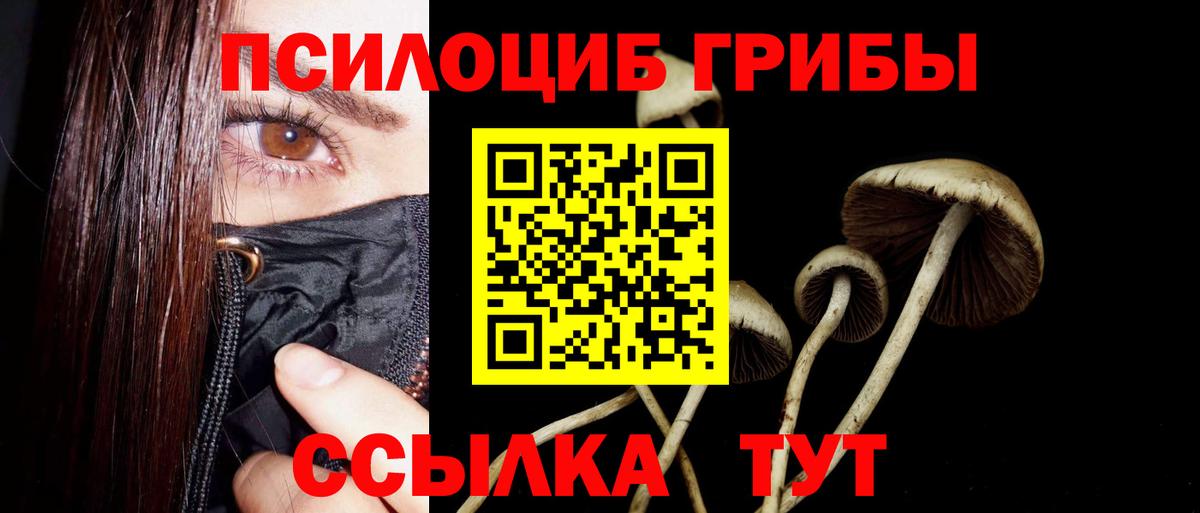 Галлюциногенные грибы GOLDEN TEACHER Наро-Фоминск