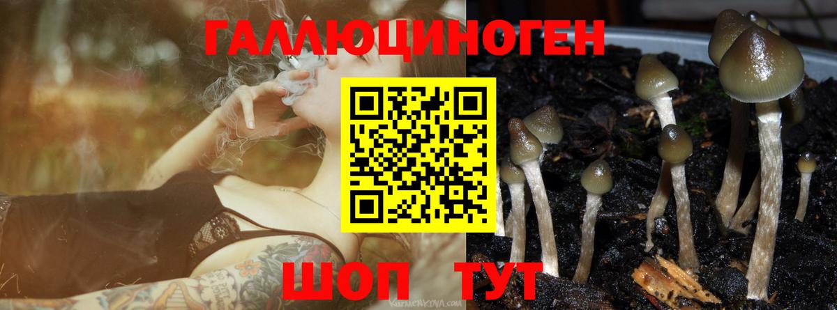 ГАШ  Канабис  МЕФ кристаллы  APVP СОЛЬ   Наро-Фоминск  Меф МЯУ МЯУ кристаллы  MDMA 